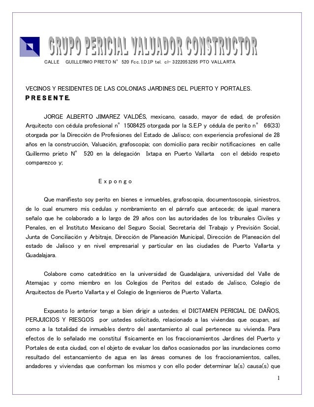 Dictamen de daños