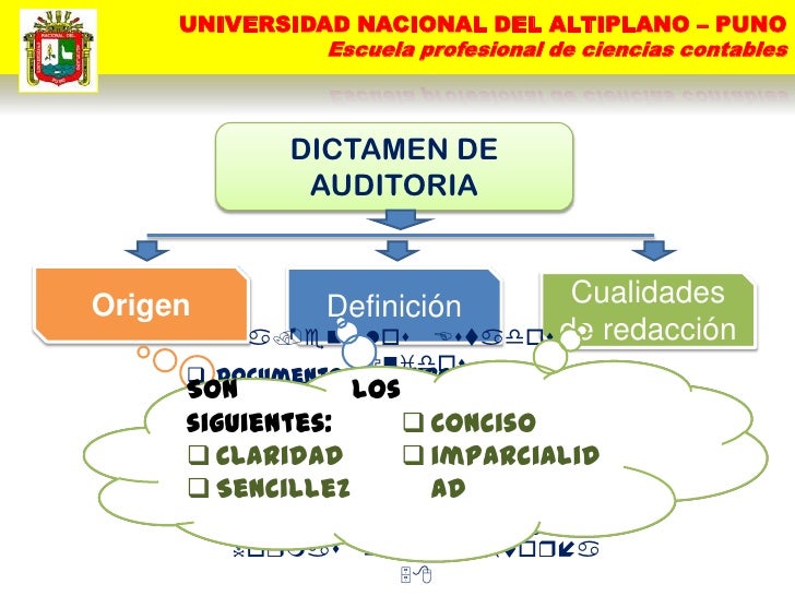 Dictamen e informe de auditoria