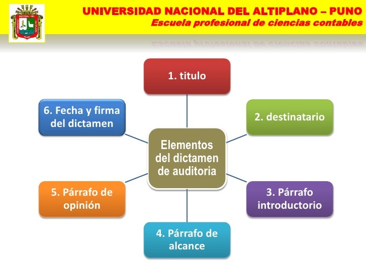 Dictamen e informe de auditoria