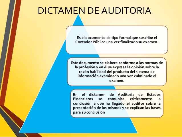 Dictamen opinión del auditor