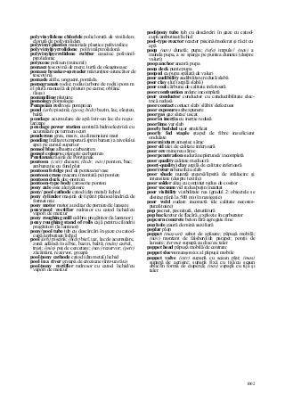 Dictionar tehnic-englez-roman