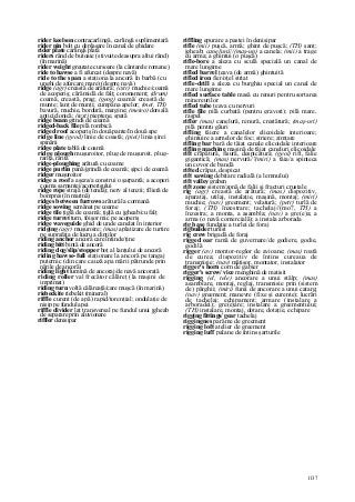 Dictionar tehnic-englez-roman