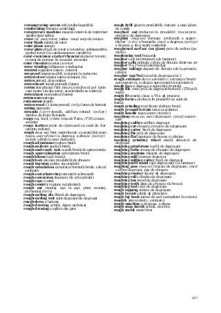 Dictionar tehnic-englez-roman