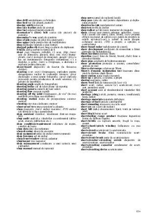 Dictionar tehnic-englez-roman