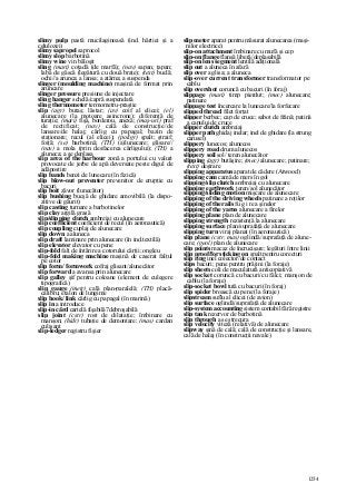 Dictionar tehnic-englez-roman