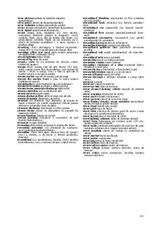 Dictionar tehnic-englez-roman