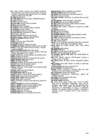 Dictionar tehnic-englez-roman