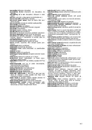 Dictionar tehnic-englez-roman