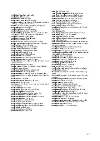 Dictionar tehnic-englez-roman