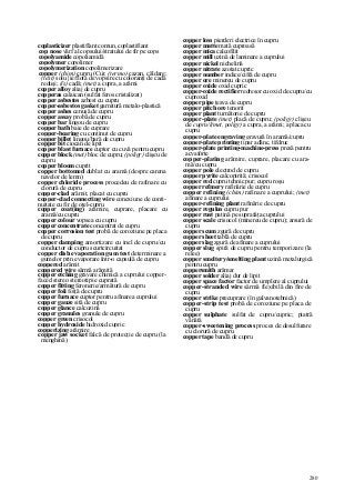 Dictionar tehnic-englez-roman