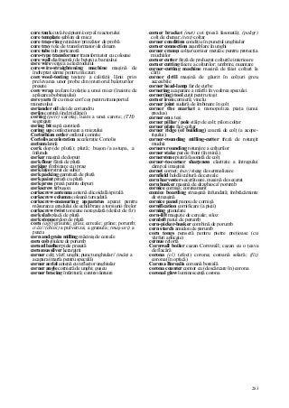 Dictionar tehnic-englez-roman