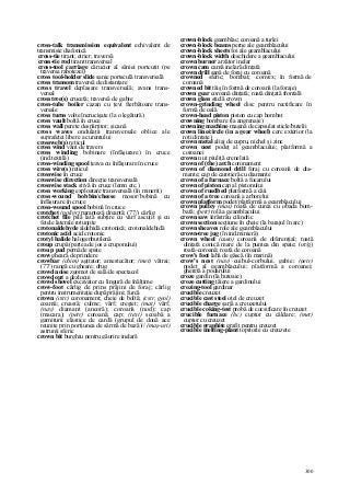 Dictionar tehnic-englez-roman