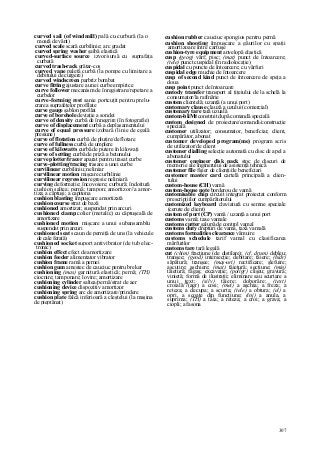 Dictionar tehnic-englez-roman