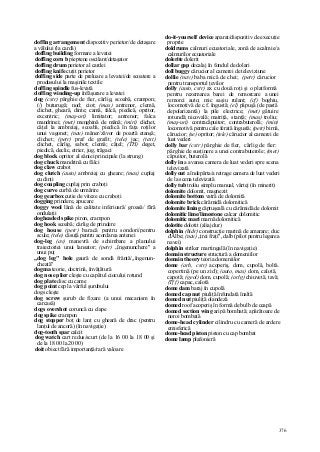 Dictionar tehnic-englez-roman