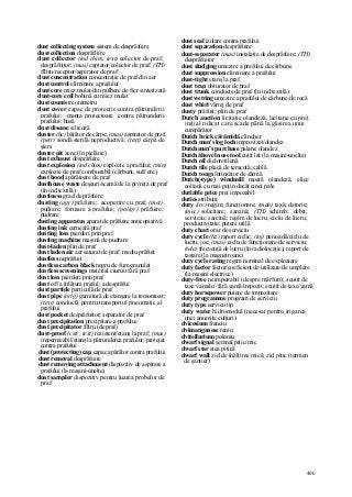 Dictionar tehnic-englez-roman