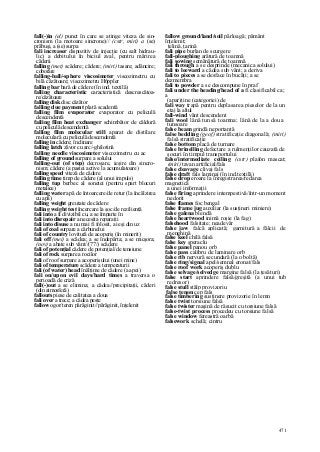 Dictionar tehnic-englez-roman