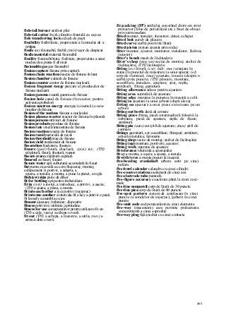 Dictionar tehnic-englez-roman