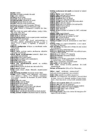 Dictionar tehnic-englez-roman