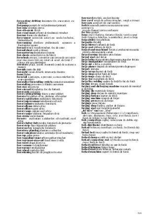 Dictionar tehnic-englez-roman