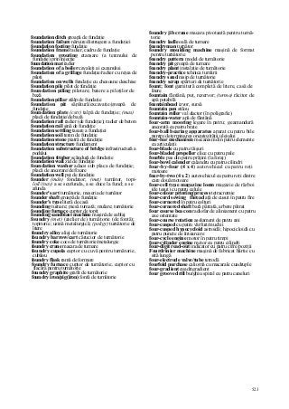 Dictionar tehnic-englez-roman