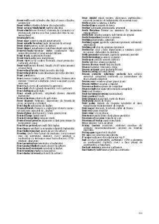 Dictionar tehnic-englez-roman