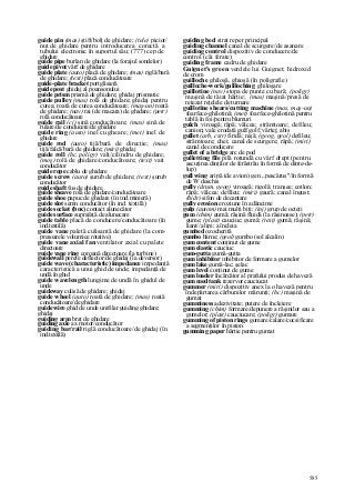 Dictionar tehnic-englez-roman