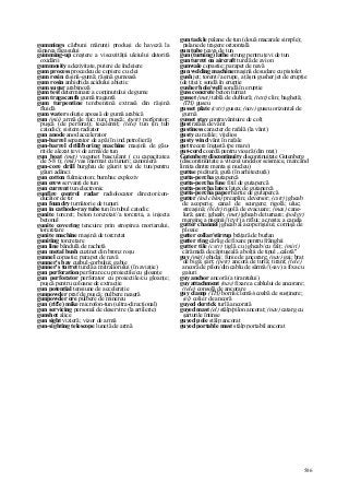 Dictionar tehnic-englez-roman