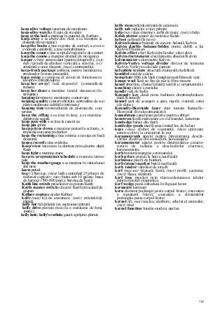 Dictionar tehnic-englez-roman