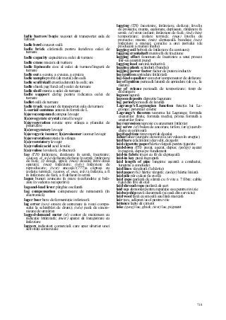 Dictionar tehnic-englez-roman