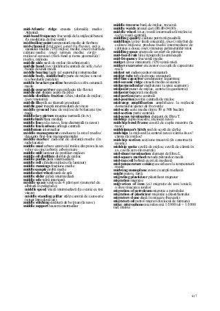 Dictionar tehnic-englez-roman