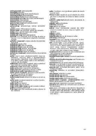 Dictionar tehnic-englez-roman