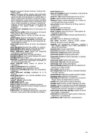 Dictionar tehnic-englez-roman