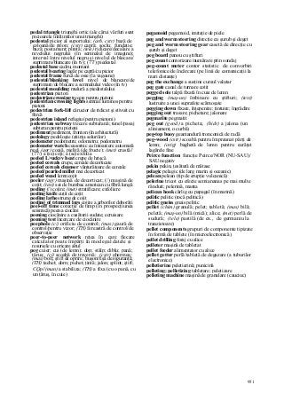 Dictionar tehnic-englez-roman