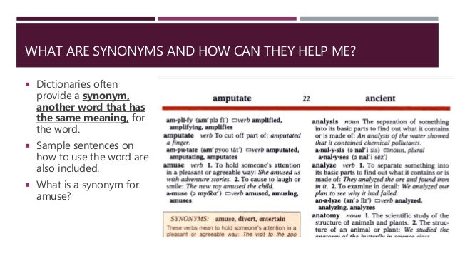 Dictionaries And Word Studies
