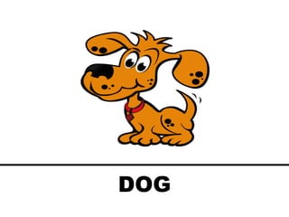DOG
 