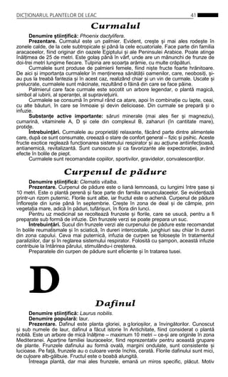Dictionarul plantelor de_leac[1] | PDF