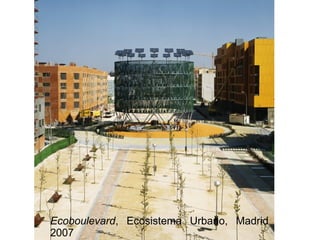 Ecoboulevard, Ecosistema Urbano, Madrid
2007
 