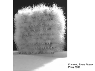 Francois, Tower Flower,
Parigi 1999
 