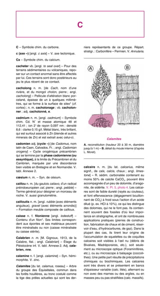 C
C – Symbole chim. du carbone.
c (axe –) [angl. c axis] – V. axe tectonique.
Ca – Symbole chim. du calcium.
cacheter vb. [angl. to seal over] – Pour des
terrains sédimentaires ou volcaniques, repo-
ser sur un contact anormal sans être affectés
par lui. Ces terrains sont donc postérieurs au
jeu le plus récent de ce contact.
cacholong n. m. [de Cach, nom d’une
rivière, et du mongol cholon, pierre ; angl.
cacholong] – Pellicule d’altération blanc por-
celané, épaisse de un à quelques millimè-
tres, qui se forme à la surface de silex* (cf.
cortex) ; n. m. cacholonage ; vb. cacholon-
ner ; adj. cacholonné, e.
cadmium n. m. [angl. cadmium] – Symbole
chim. Cd. N˚ et masse atomique 48 et
112,41 ; ion 2+
de rayon 0,097 nm : densité
8,6 : clarke 0,15 g/t. Métal blanc, très brillant,
qui est surtout associé à Zn (blende et autres
minerais de Zn) et est extrait avec celui-ci.
cadomien adj. (cycle –) [de Cadomus, nom
latin de Caen, Calvados, Fr. ; angl. Cadomian
orogeny] – Cycle orogénique précambrien
qui se termine par la phase cadomienne (ou
assyntique), à la limite du Précambrien et du
Cambrien, marquée par une discordance
bien visible en Bretagne et en Normandie. V.
tabl. Annexe 2.
cæsium n. m. – Syn. de césium.
caillou n. m. [du gaulois caliavo, d’un radical
préindoeuropéen cal, pierre ; angl. pebble] –
Terme général pour désigner un morceau de
roche. V. aussi granulométrie.
cailloutis n. m. [angl. rubble (avec éléments
anguleux), gravel (avec éléments arrondis)]
– Formation meuble composée de cailloux.
caisse n. f. filonienne [angl. lodestuff] –
Contenu d’un filon*. Ses limites correspon-
dent aux épontes et ses matériaux peuvent
être minéralisés ou non (caisse minéralisée
ou caisse stérile).
Calabrien n. m. [M. Gignoux, 1913, de la
Calabre, Ital. ; angl. Calabrian] – Étage du
Pléistocène inf. V. tabl. Annexe 2. Adj. cala-
brien, nne.
calamine n. f. [angl. calamine] – Syn. hémi-
morphite. V. zinc.
Calamites [du lat. calamus, roseau] – Arbre
du groupe des Équisétales, commun dans
les forêts houillères, au tronc costulé comme
la tige des prêles actuelles qui sont les der-
niers représentants de ce groupe. Répart.
stratigr. : Carbonifère – Permien. V. Annularia.
calcaire n. m. [du lat. calcarius, même
signif., de calx, calcis, chaux ; angl. limes-
tone] – R. sédim. carbonatée contenant au
moins 50% de calcite CaCO3, pouvant être
accompagnée d’un peu de dolomite, d’arago-
nite, de sidérite. V. Pl. 5, photo 4. Les calcai-
res sont de faible dureté (rayés au couteau),
et font effervescence (dégagement bouillon-
nant de CO2) à froid sous l’action d’un acide
dilué (p. ex. HCI à 10%), ce qui les distingue
des dolomies, qui ne le font pas. Ils contien-
nent souvent des fossiles d’où leur impor-
tance en stratigraphie, et ont de nombreuses
applications pratiques (pierres de construc-
tion, fabrication de chaux et de ciment, réser-
voir d’eau, d’hydrocarbures, de gaz). Dans la
plupart des cas, ils tirent leur origine de
l’accumulation de squelettes ou de coquilles
calcaires soit visibles à l’œil nu (débris de
Bivalves, Madréporaires, etc.), soit seule-
ment au microscope optique (Foraminifères,
etc.), ou au microscope à balayage (coccoli-
thes). Une petite part résulte de précipitations
chimiques ou biochimiques. Les calcaires
sont très divers et se présentent en bancs
d’épaisseur variable (calc. lités), alternant ou
non avec des marnes ou des argiles, ou en
masses peu ou pas stratifiées (calc. massifs).
Calamites
A. reconstitution (hauteur 20 à 30 m, diamètre
jusqu’à 1 m) – B. détail du moule interne (d’après
L. Moret).
 