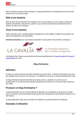 B
Baseline
Dans le domaine des sites web et boutique, on place généralement une baseline dans le haut du site
(souvent sous ou à côté du logo).
Rôle d’une baseline
Dans le cadre de la construction de l’image d’un site, d’une boutique ou d’une marque, le rôle de la
baseline est essentiel : elle permet au premier coup d’oeil de comprendre le positionnement de la
marque, du site ou de la boutique.
Choix d’une baseline
Celle-ci doit être courte, compréhensible immédiatement, et doit refléter la réalité de la proposition de
valeur de l’entreprise ou de ses produits.
Exemple de baseline pour une boutique d’équitation haut de gamme très orientée « technique » :
Une baseline bien choisie peut permettre de diminuer significativement le taux de rebond et le taux de
transformation d’un site.
Blog d'entreprise
Définition
Un blog, au niveau personnel, peut être assimilé à un journal intime : il permet de faire part de son avis,
ses pensées et ses humeurs au fil des jours. A la différence du journal, un blog est généralement public.
Un blog d’entreprise reprend l’essentiel du concept, mais on y exprime son point de vue de
professionnel, en commentant par exemple l’actualité de son domaine ou en donnant des conseils sur
son métier.
Pourquoi un blog d’entreprise ?
Le blog d’entreprise est une manière efficace de démontrer sa compétence ou de se faire connaître
dans un domaine. Il est ainsi possible de faire passer des messages qu’il serait difficile de placer sur un
site Internet.
La ligne éditoriale du blog varie en fonction de l’objectif et du positionnement de l’entreprise.
Exemples d’utilisation
22
 