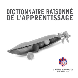 dictionnaire raisonné
de l'apprentissage
 
