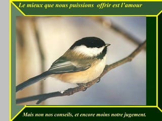 Le mieux que nous puissions offrir est l’amour
Mais non nos conseils, et encore moins notre jugement.
 