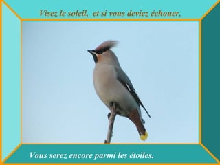 Visez le soleil, et si vous deviez échouer,
Vous serez encore parmi les étoiles.
 