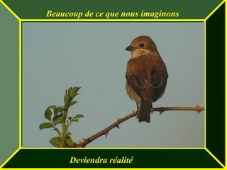 Beaucoup de ce que nous imaginons
Deviendra réalité
 