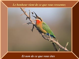 Le bonheur vient de ce que vous ressentez
Et non de ce que vous ètes
 