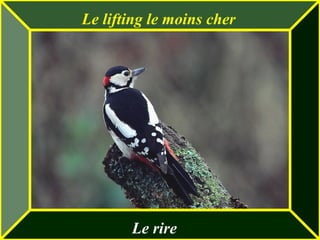Le lifting le moins cher
Le rire
 