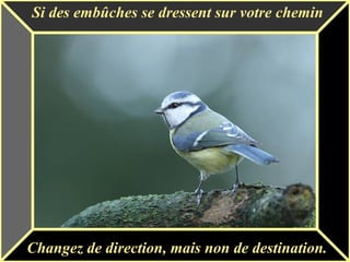 Si des embûches se dressent sur votre chemin
Changez de direction, mais non de destination.
 
