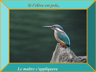 Si l’élève est prêt,,
Le maître s’appliquera
 