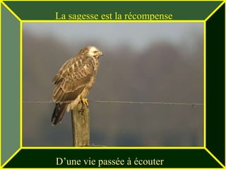 La sagesse est la récompense




D’une vie passée à écouter
 