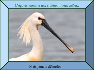 L’égo est comme une rivière, il peut enfler,,




         Mais jamais déborder
 